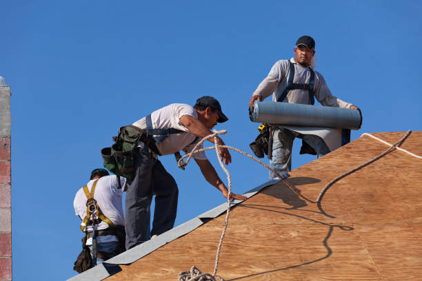 Best Roof Repair Services  in Mulberry, OH