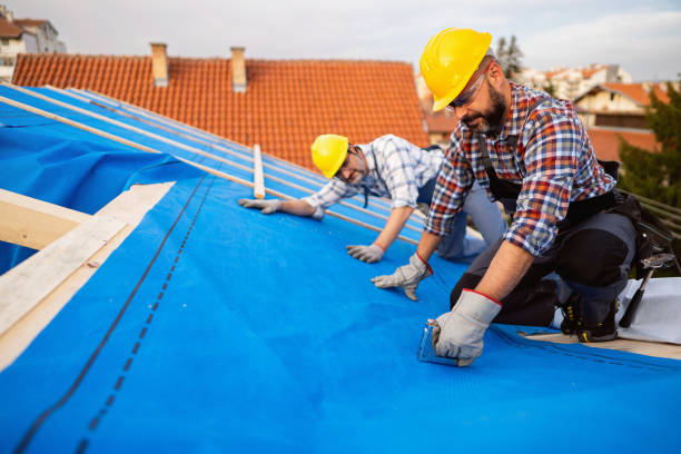 Best Storm Damage Roof Repair  in Mulberry, OH